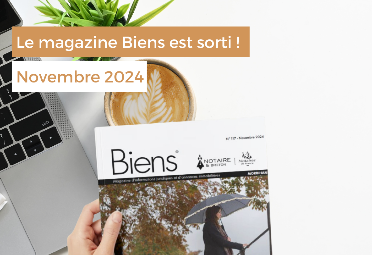 magazine biens novembre 2024