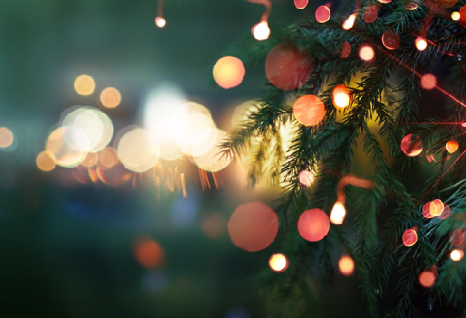 collecte noel pole 56 et habitat & humanisme