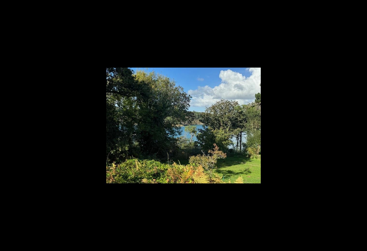 vue