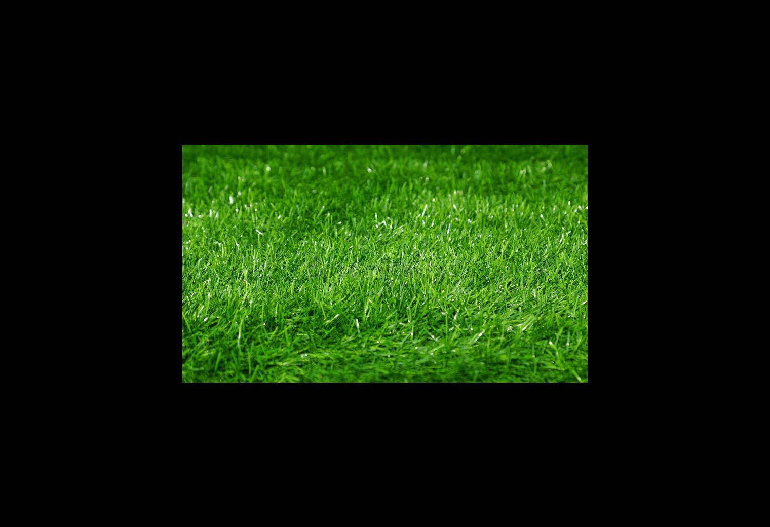 PLOUHINEC- terrain agricole de 1100 m2