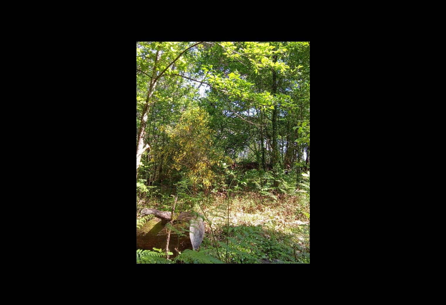 photo2