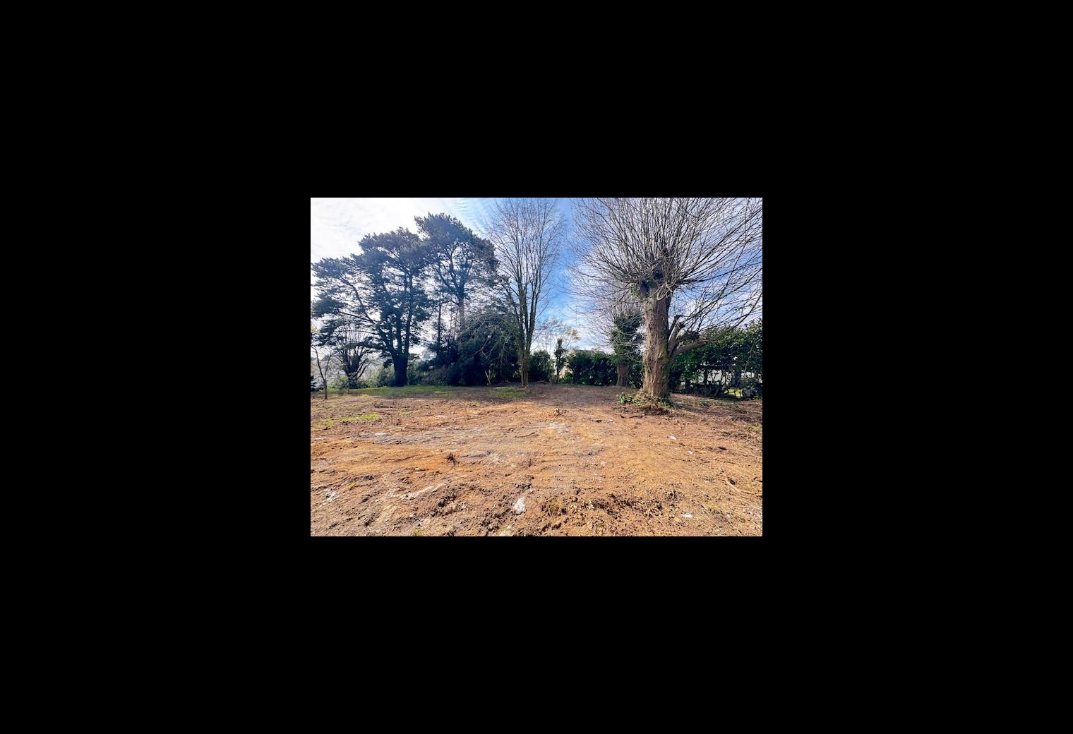 TERRAIN