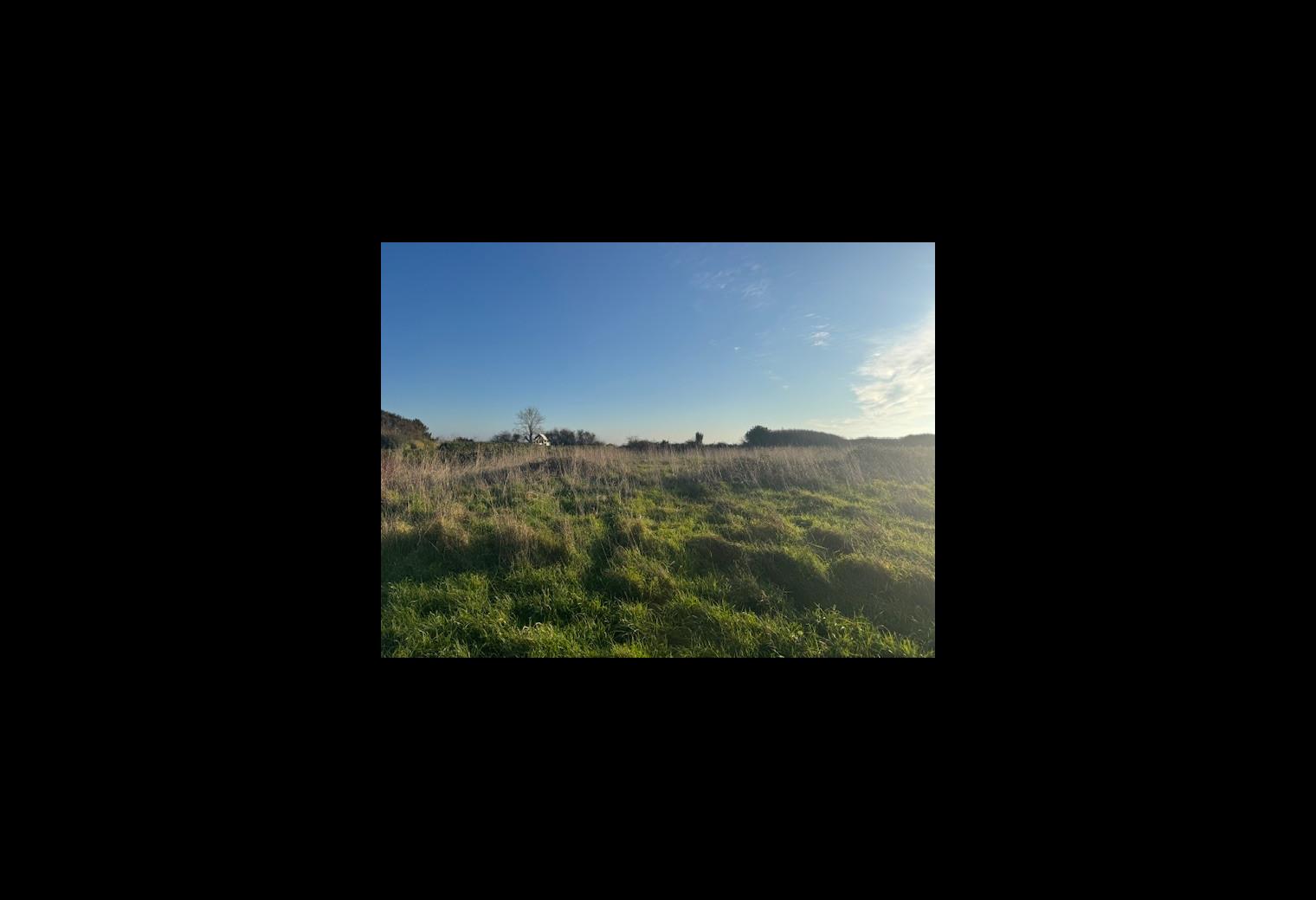TERRAIN