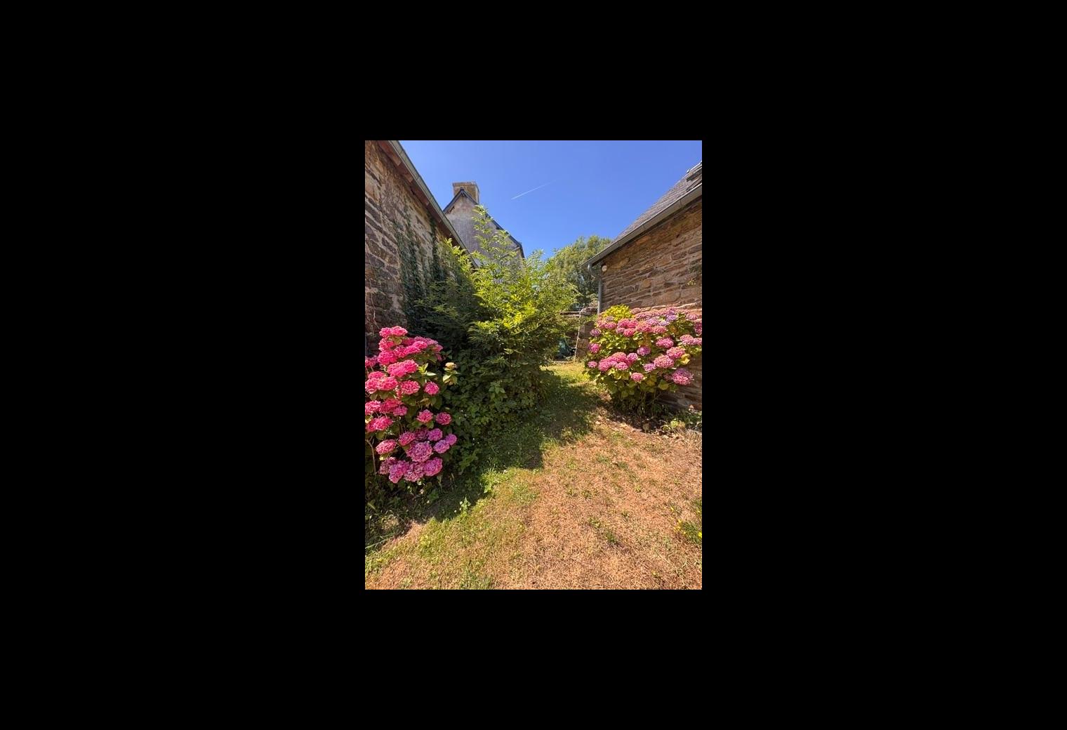 jardin