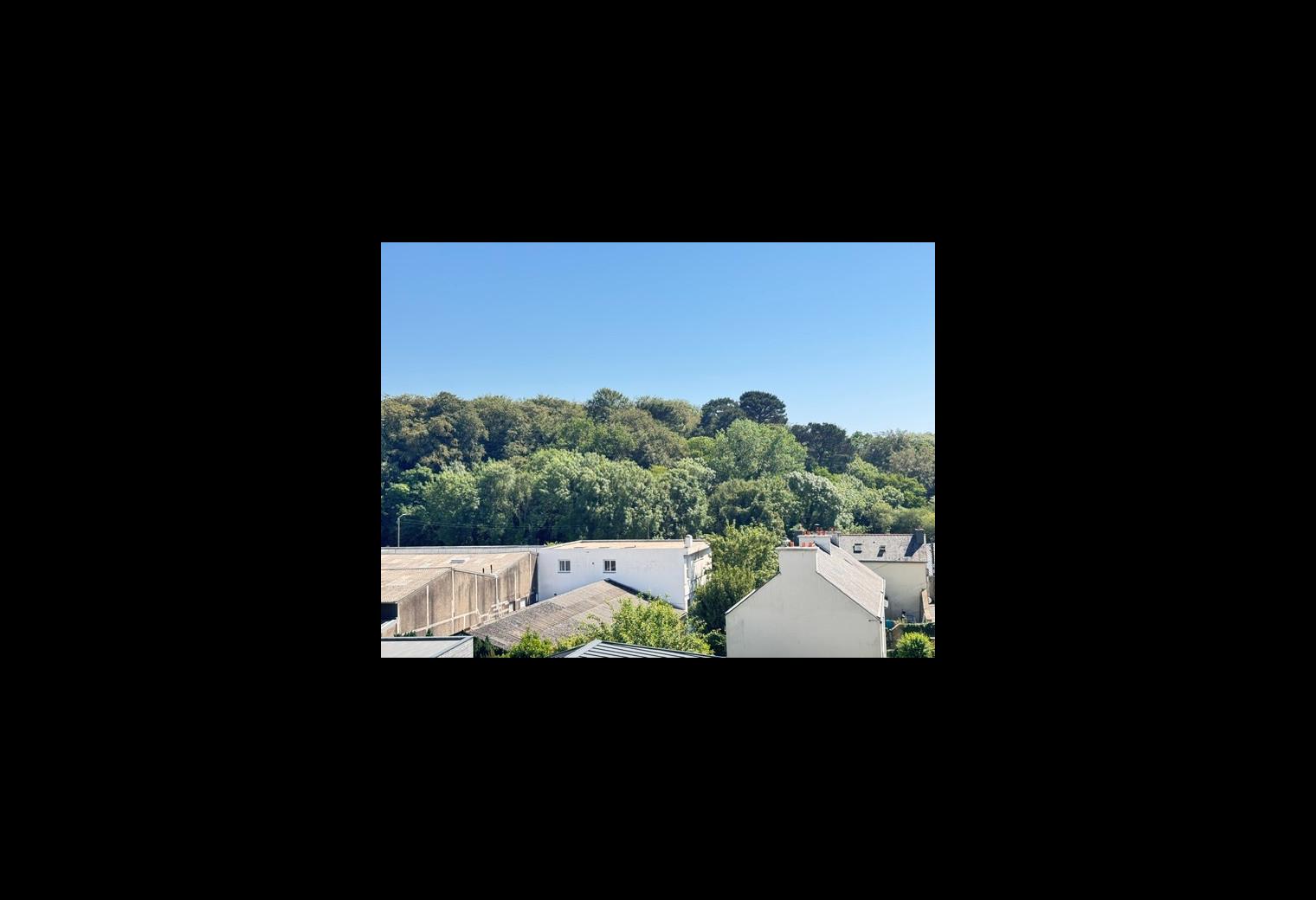 VUE