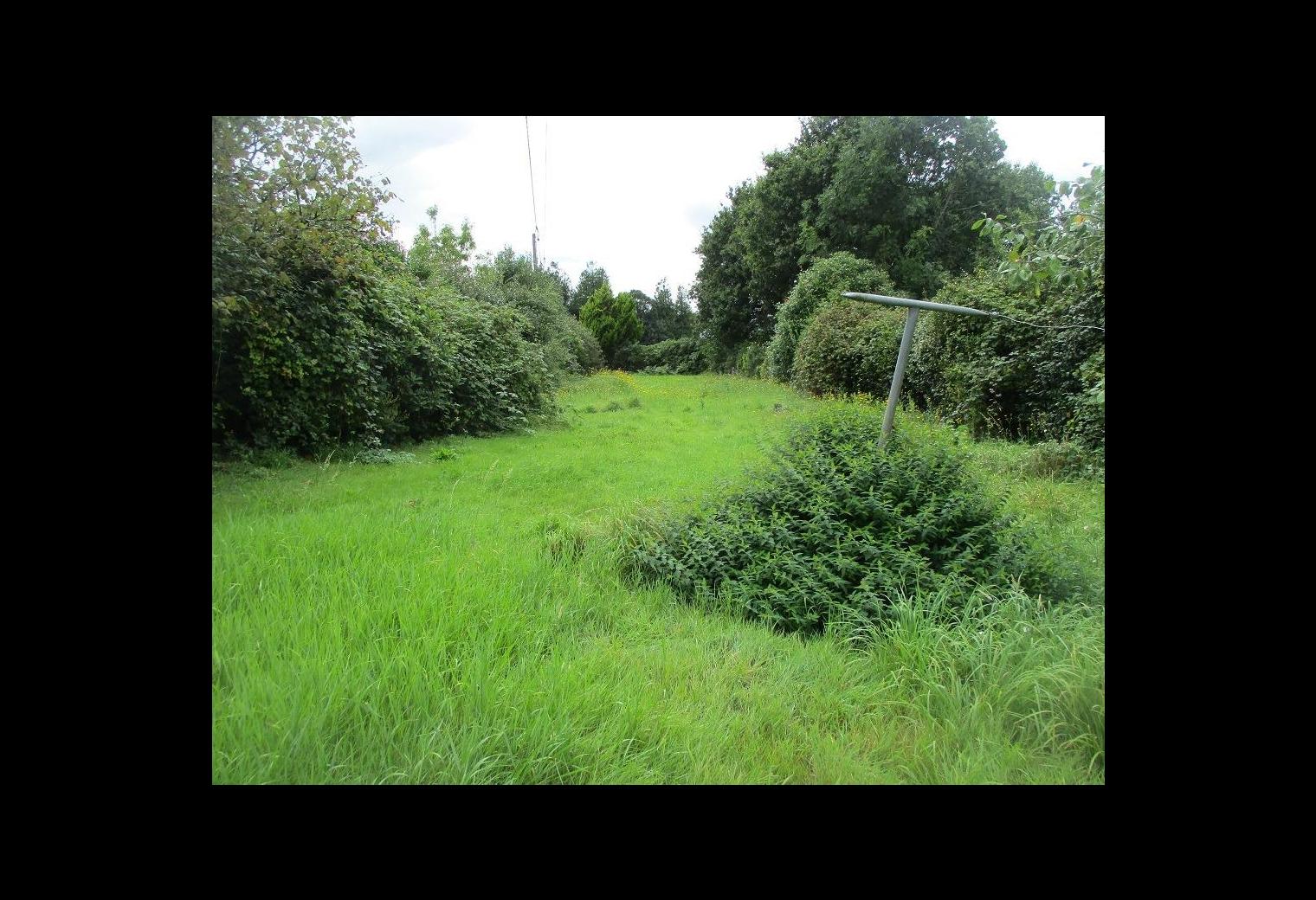 efcb2ae0-d910-4abb-9d6f-e362660008cd.jpg