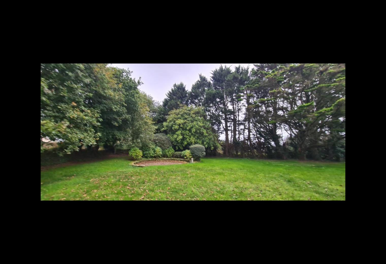 f3d96ab8-1685-4b77-9e02-4d5e0d45ef03.jpg