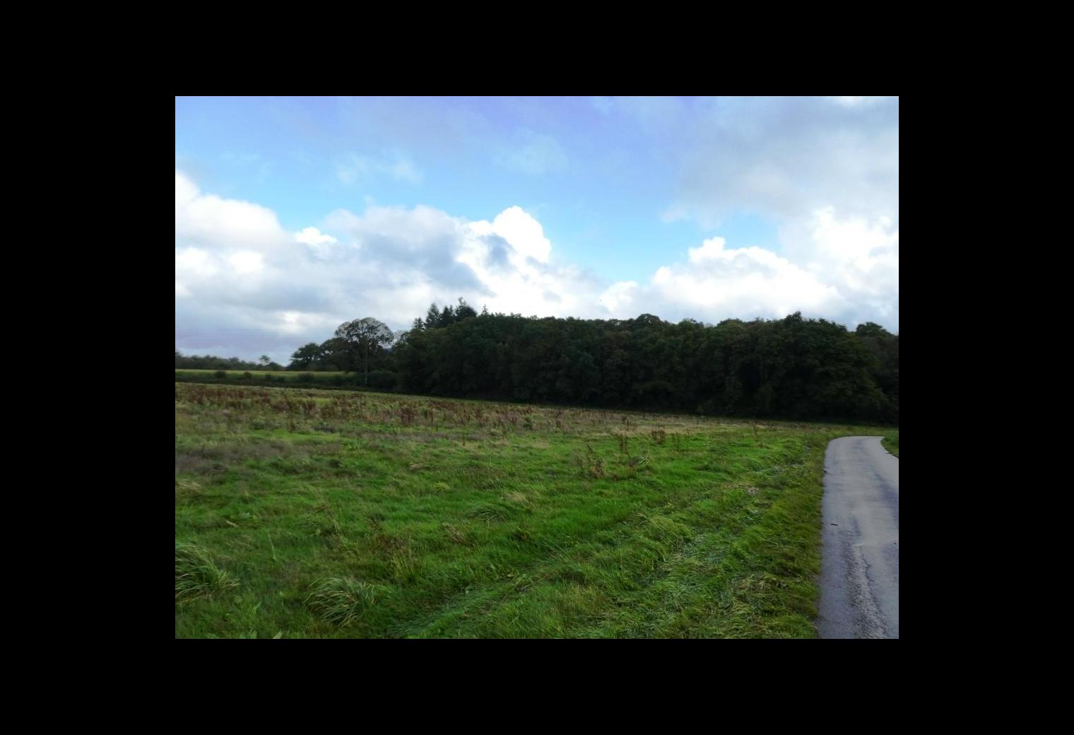 e93df722-5ef6-4f8a-bd96-ad06d83bf9f6.jpg