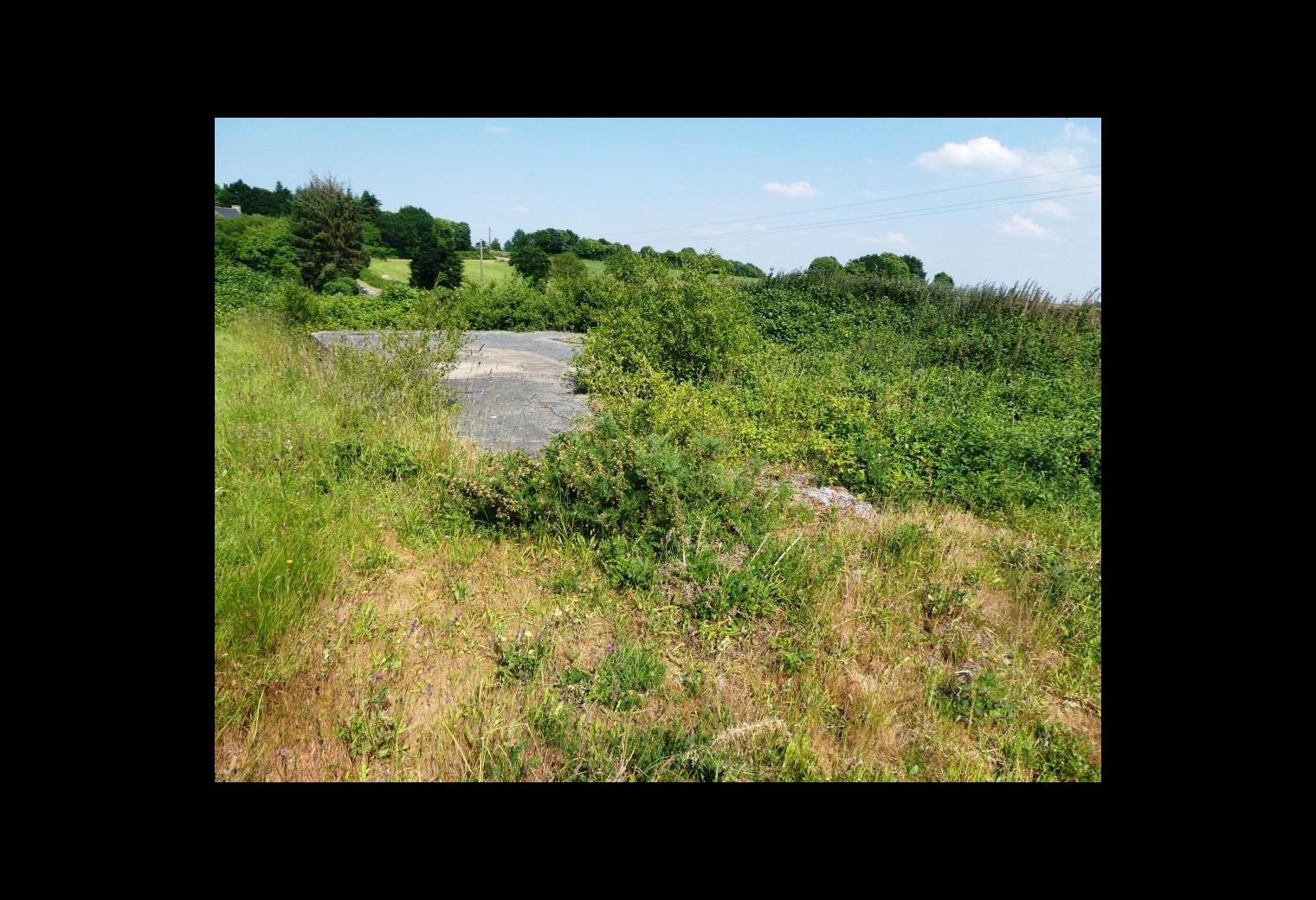 c625b712-303e-433d-ab80-b6ea47704f72.jpg