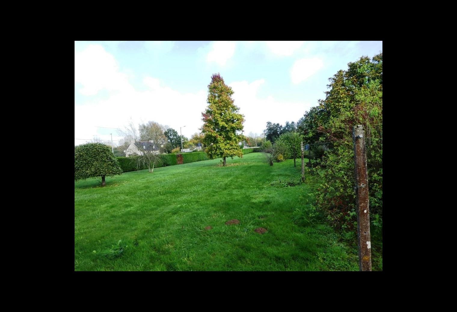000d0ad0-96c6-4dbd-bec1-6bed4c9e3795.jpg