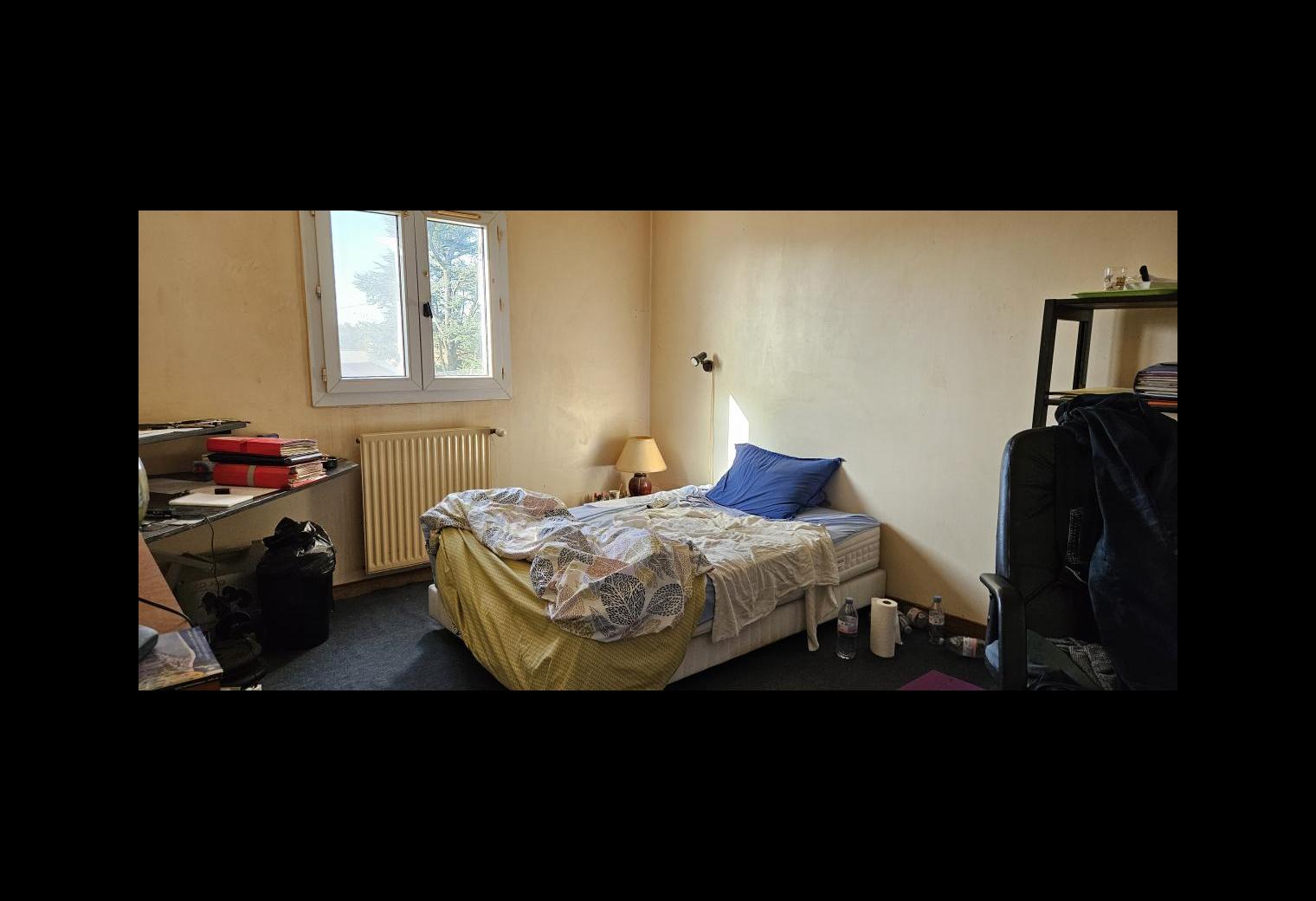 66e31289-fe1b-46ef-a934-01f5d629c149.jpg