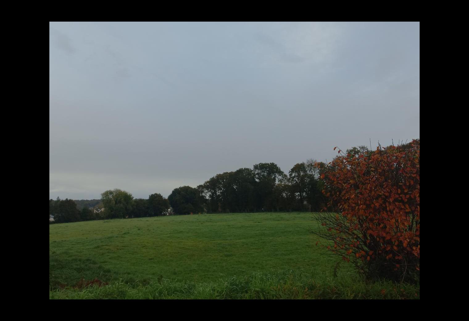 e7775bde-d07c-48ec-ad06-9ed043f5fba0.jpg