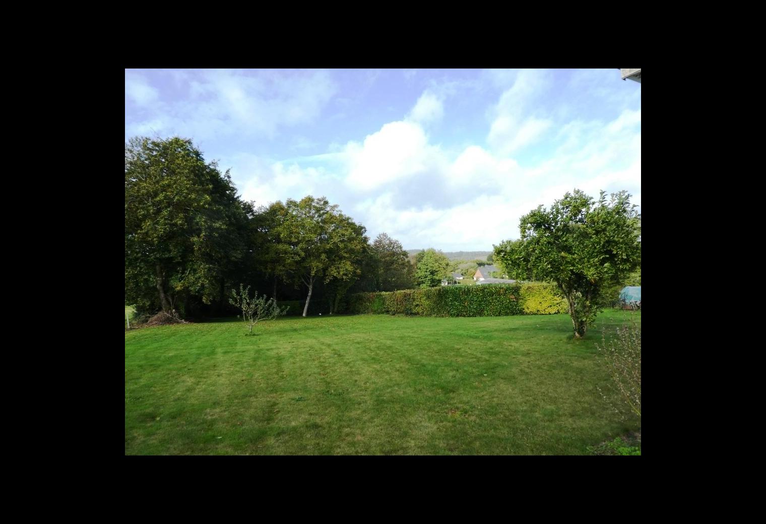 668bdc78-5097-48ca-acd6-f648215fd775.jpg