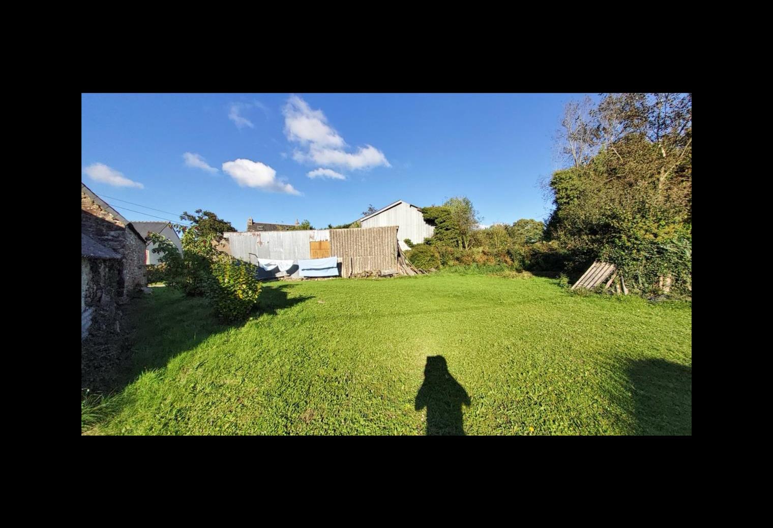 d5540d05-288a-46b6-9695-1ba0cc0255d1.jpg