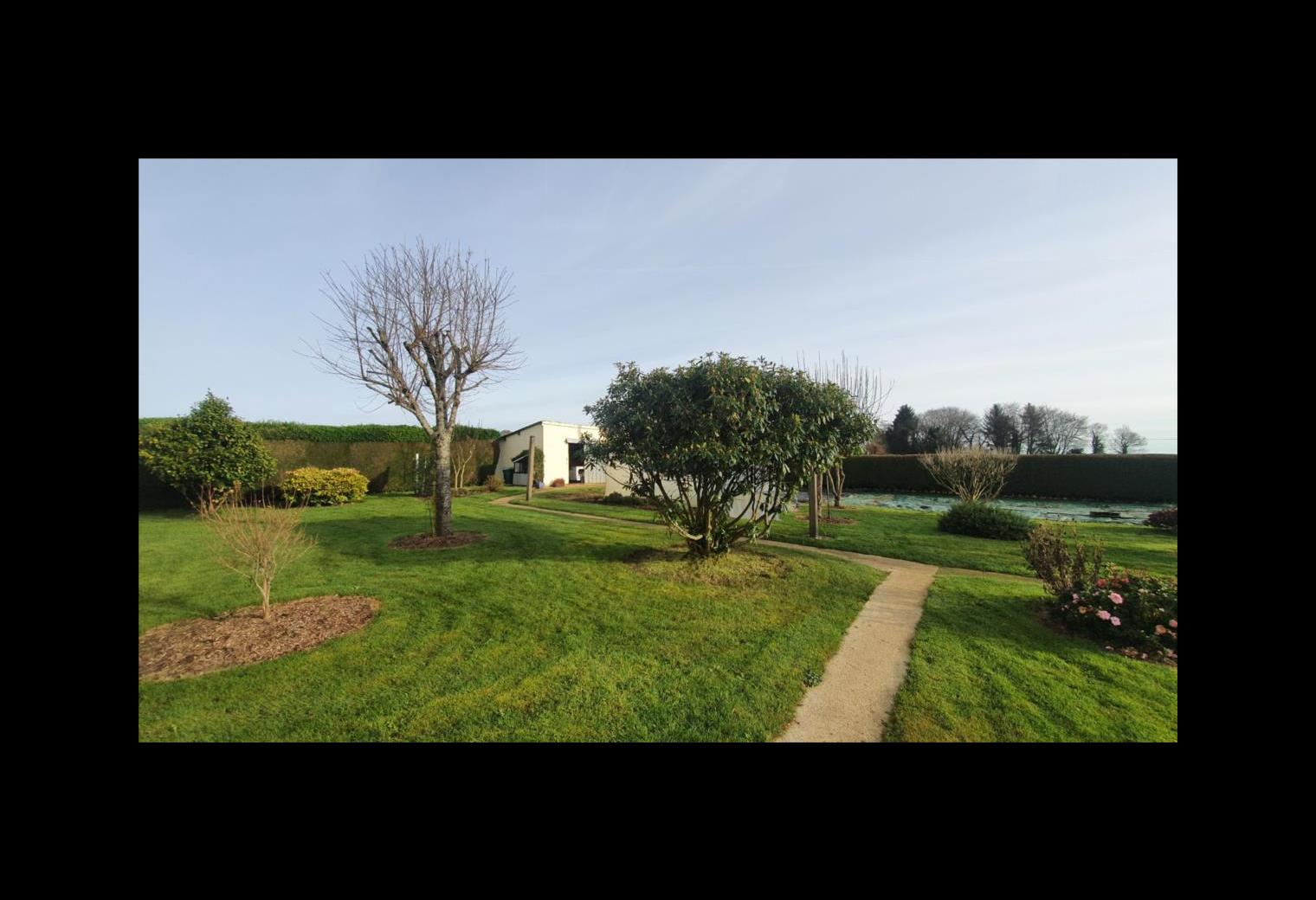3bd9ba2d-f1a4-4f84-ad2d-c6345d0ec094.jpg