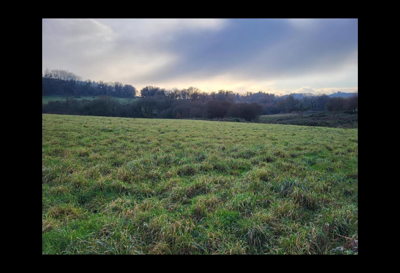 ab830923-5d23-4892-8e26-ce73a71a89d5.jpg