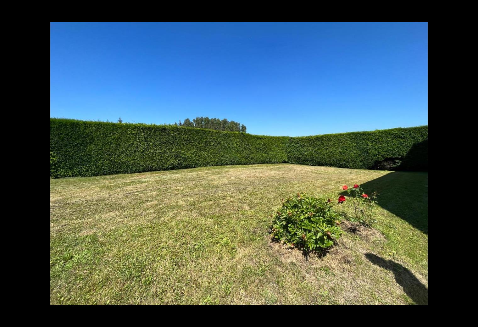 b2968b47-27ae-45ba-8991-5b355c8112bc.jpg