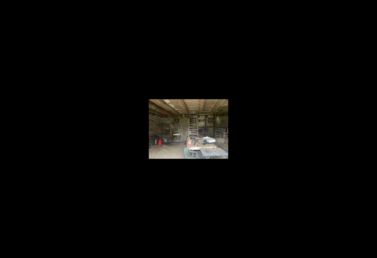 0f46265b-c9ca-4199-824e-699452236ab4.jpg
