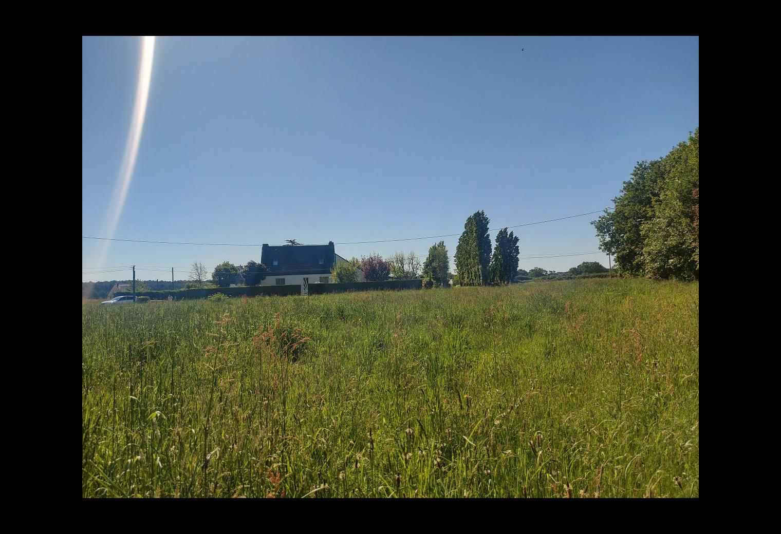 3d6ff484-4626-4cc5-a2a8-169c10f602a0.jpg