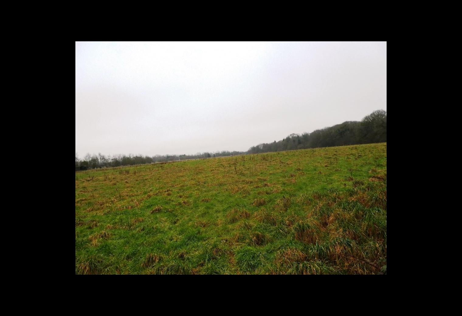 918d73cf-a3a9-430e-a0f7-03ba90891b33.jpg