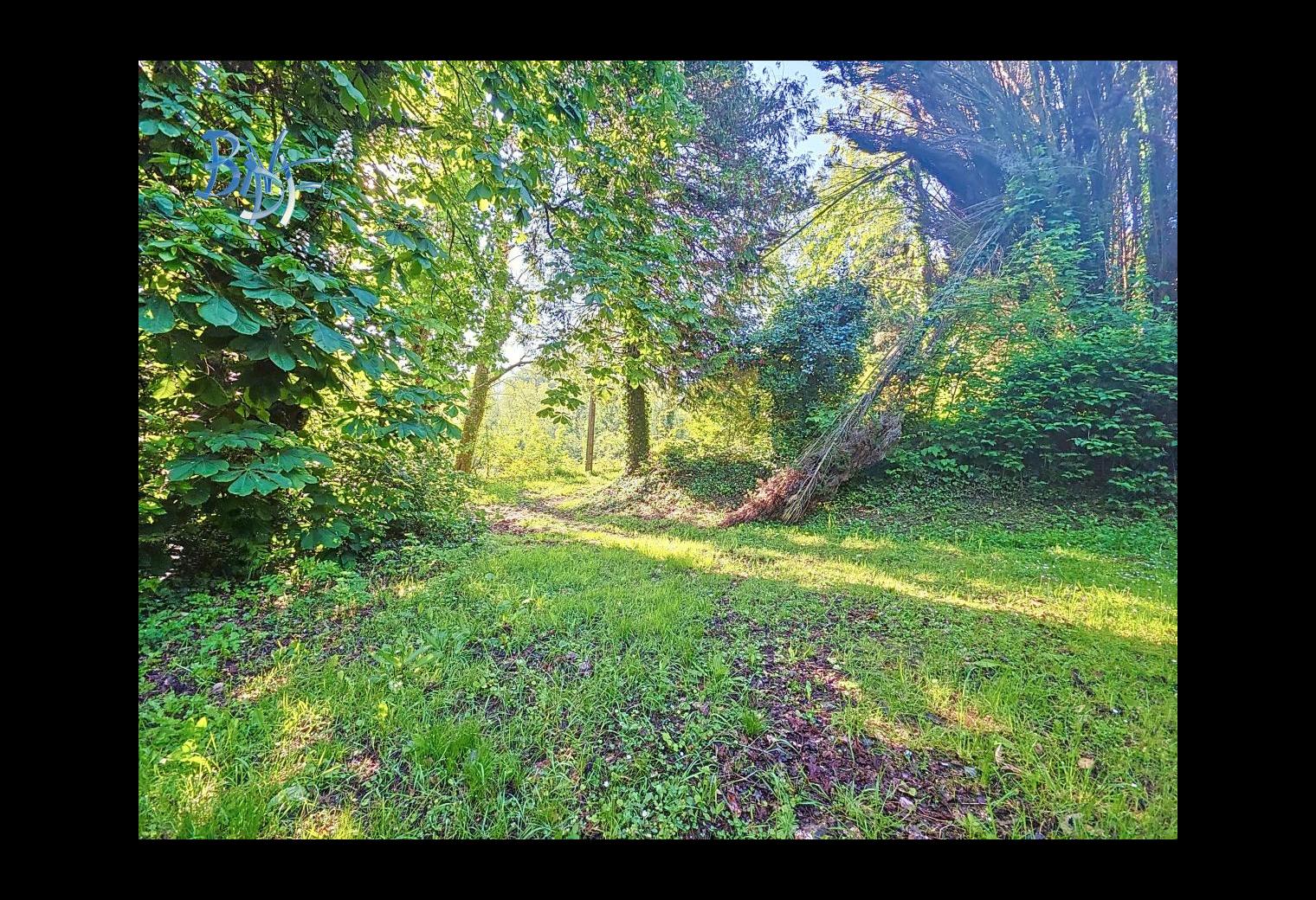 dc536012-ae22-4f07-ab0b-f85164556b5b.jpg