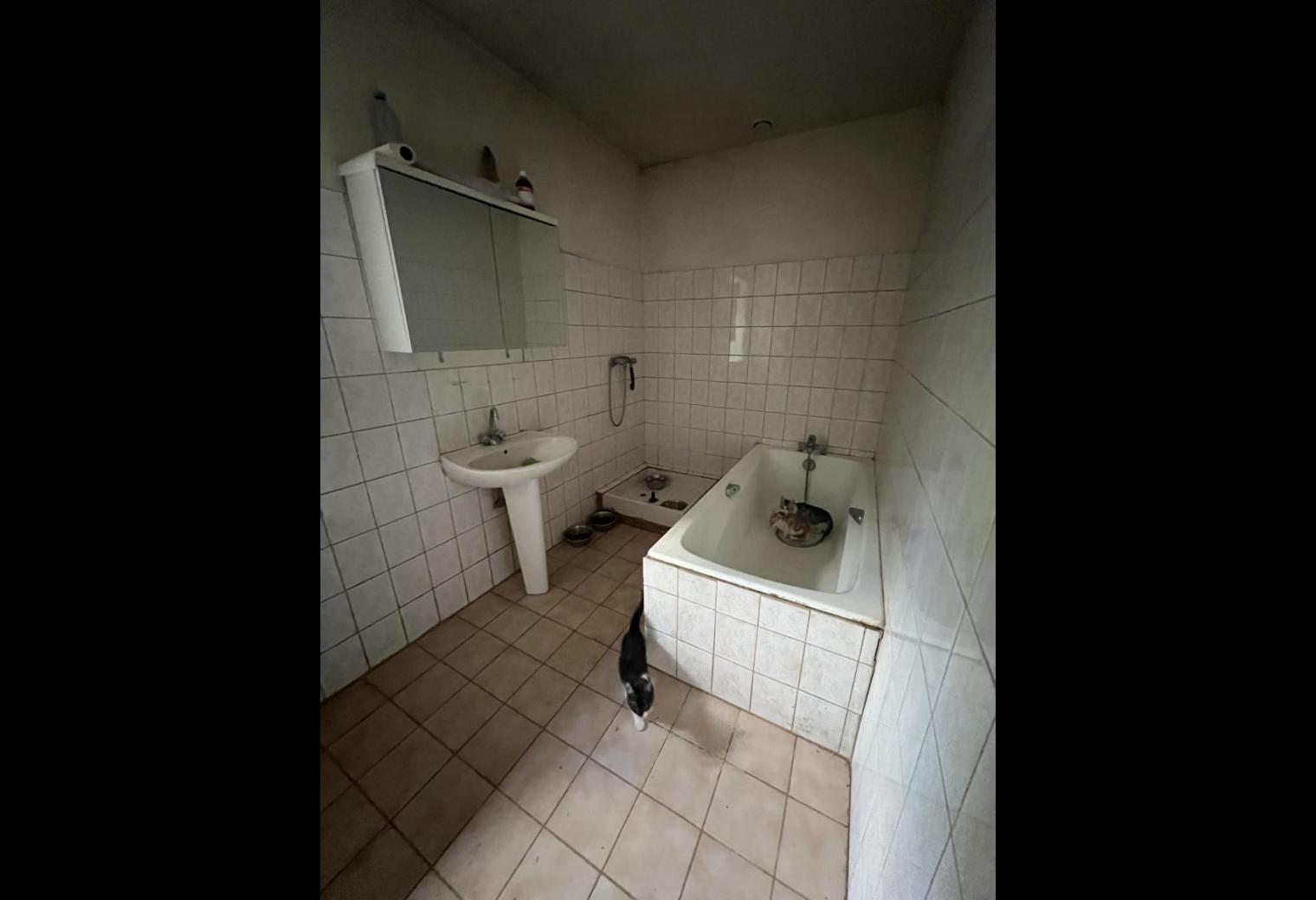 e6e502db-692f-4d73-8d7a-8e6dccce2c03.jpg