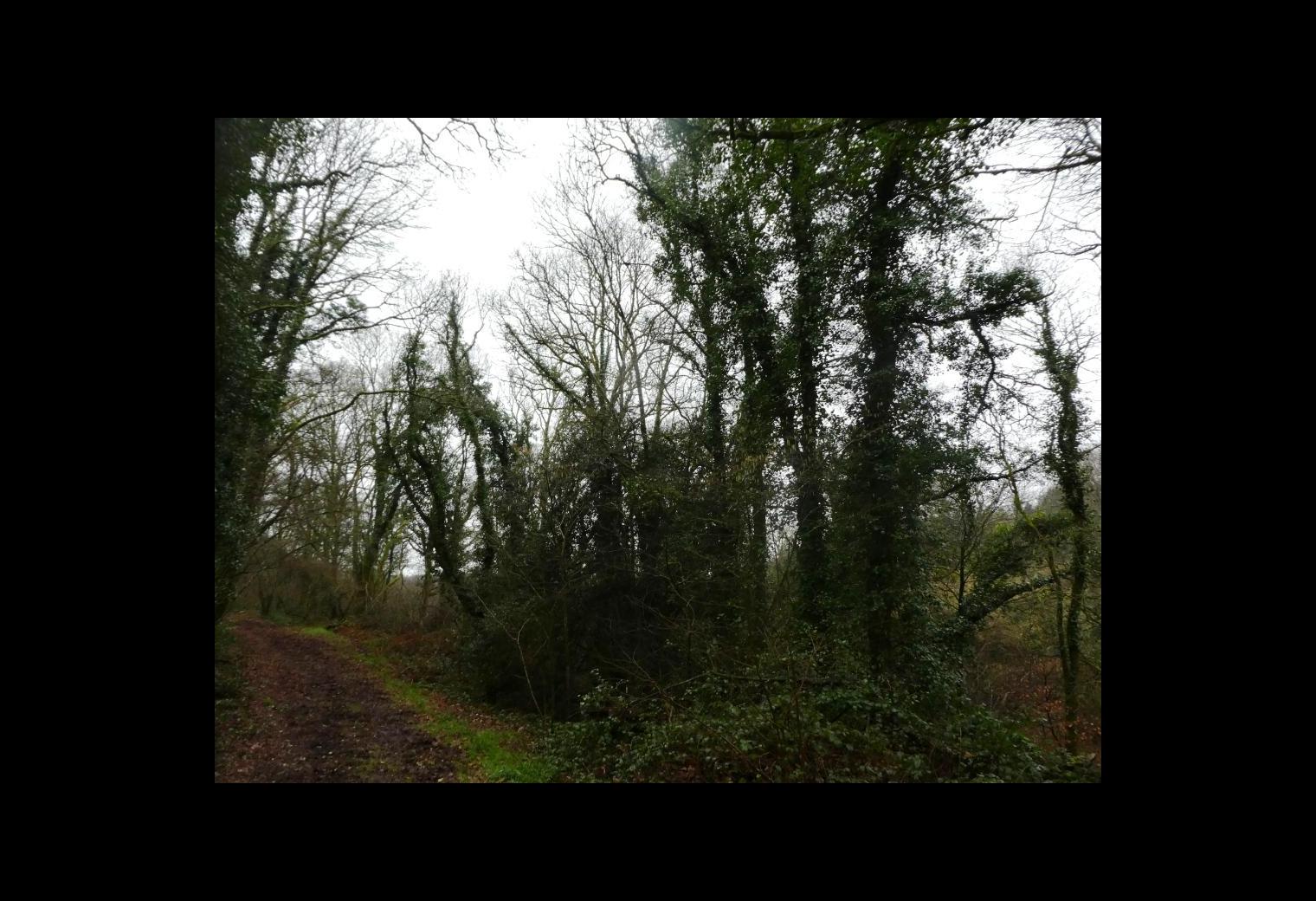 bc5d0885-83bd-4413-a58f-ecfd8d6e2692.jpg