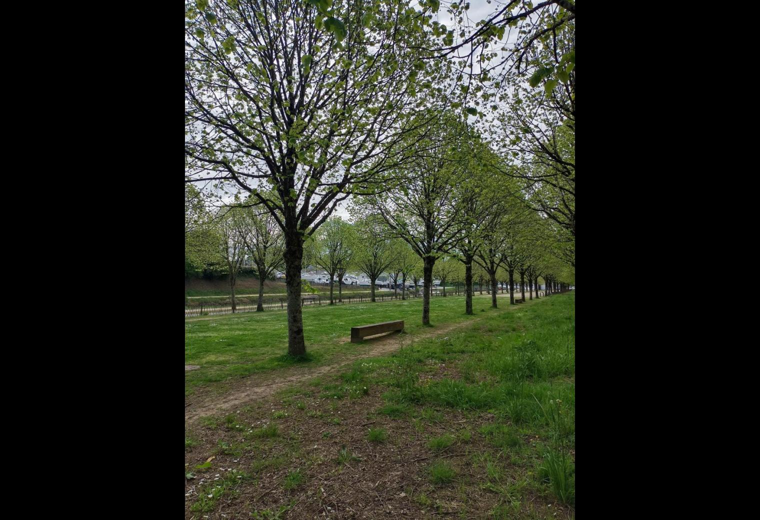 50f02211-0cbd-4f36-b956-ef20aae9594f.jpg