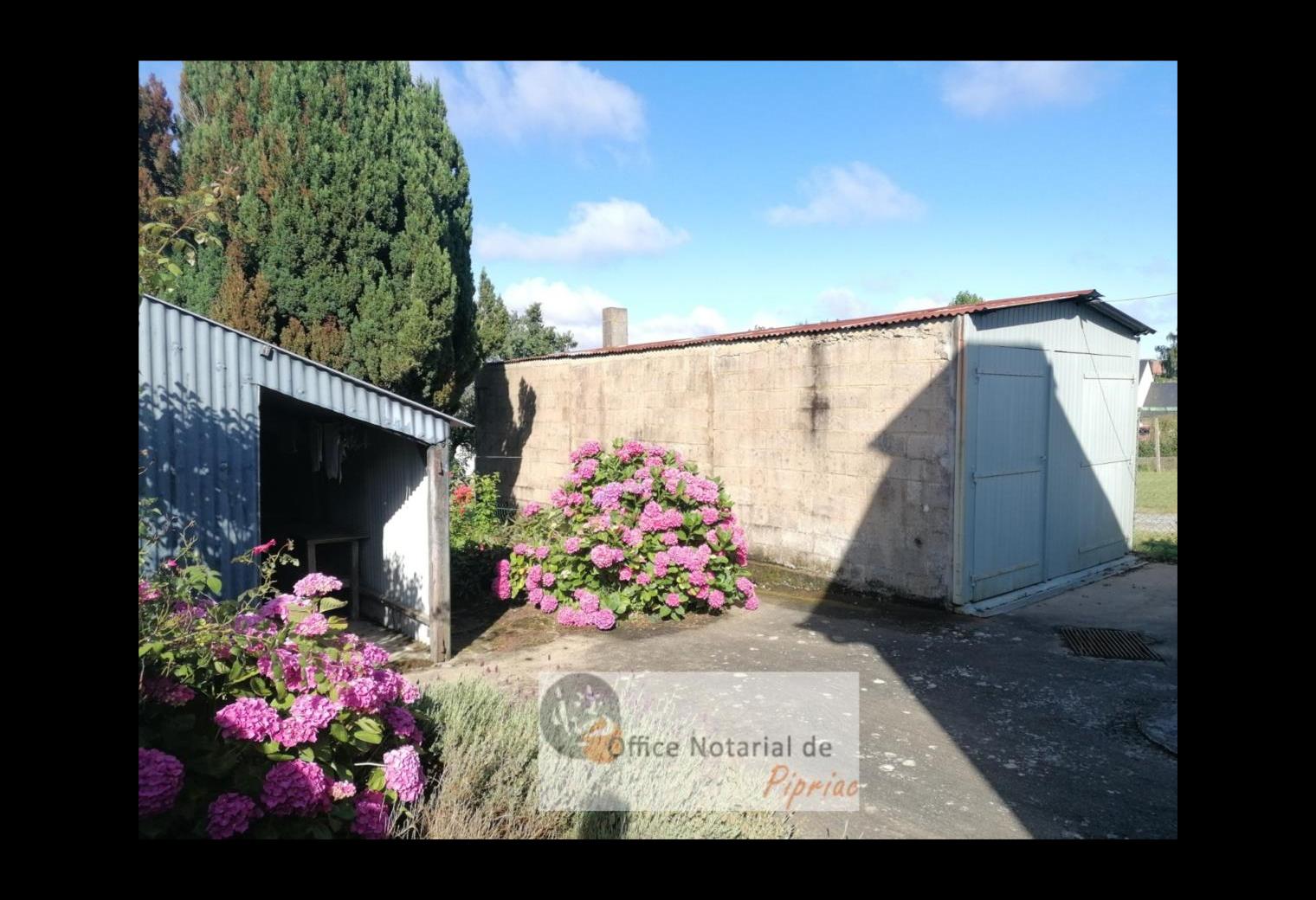 06dc7570-ceeb-49cf-a0a3-8ceb5e532d2a.jpg