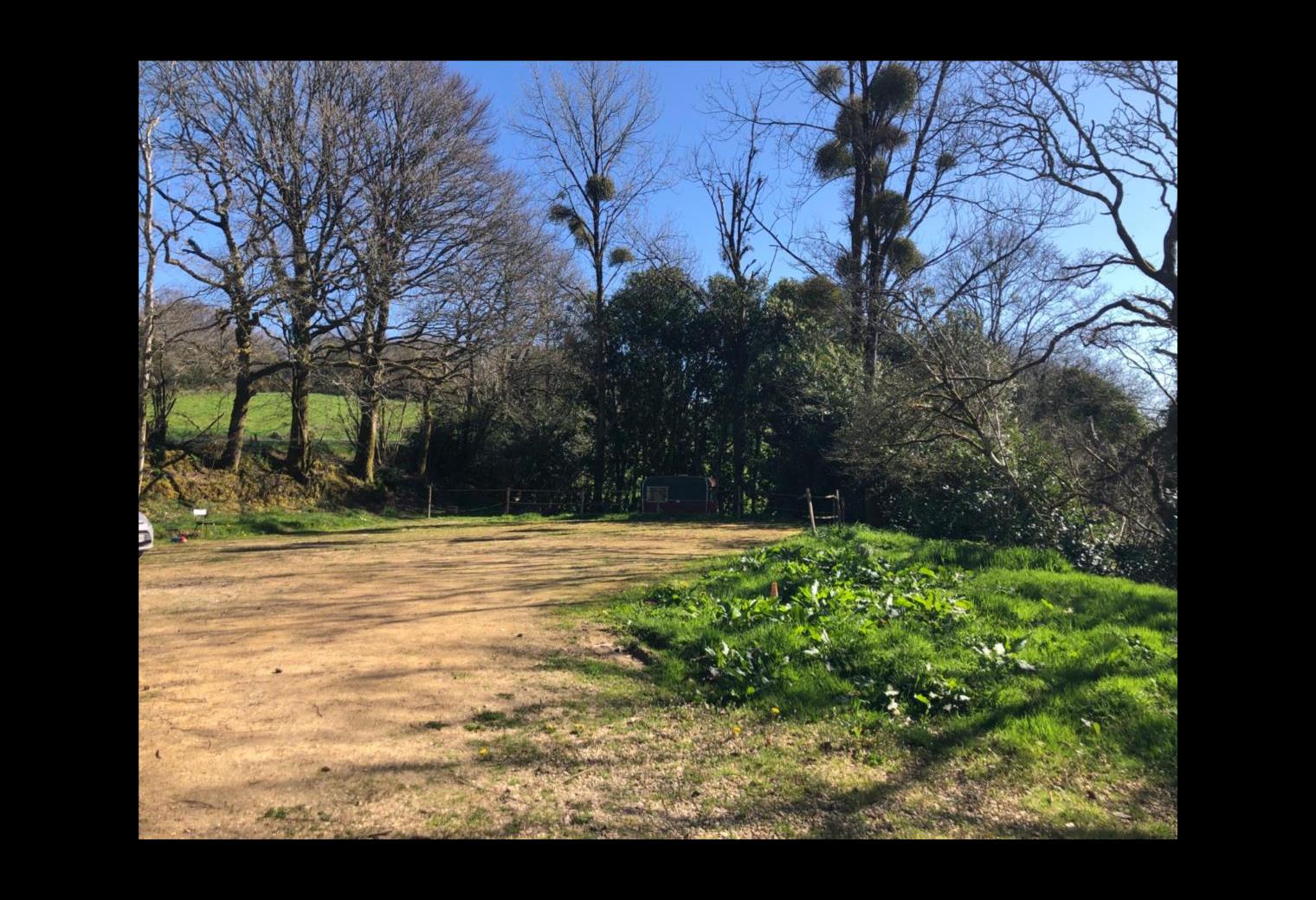 94e147dd-da64-47a8-b429-d41d0b257dc8.jpg