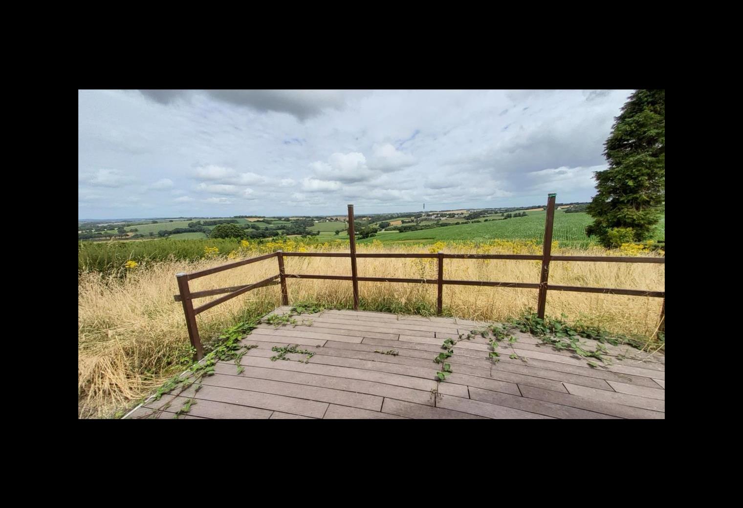 6d238ec8-d455-4df3-995d-ad6e472f3b61.jpg