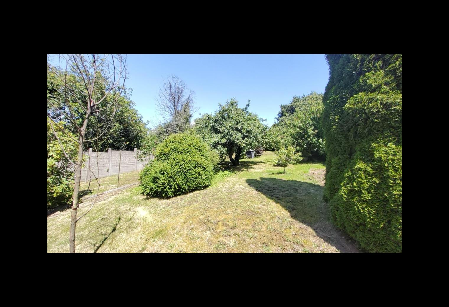 73100dcf-56cd-4d72-9397-85b9a6f93aa3.jpg