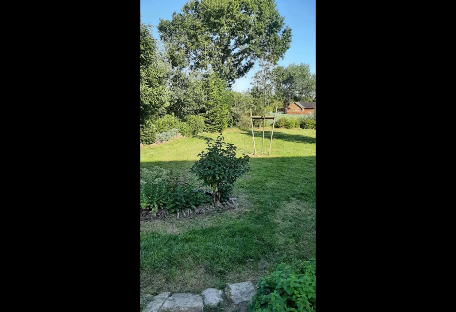 6d6b4158-639c-4e4e-ac22-f76e5aa2bfa9.jpg