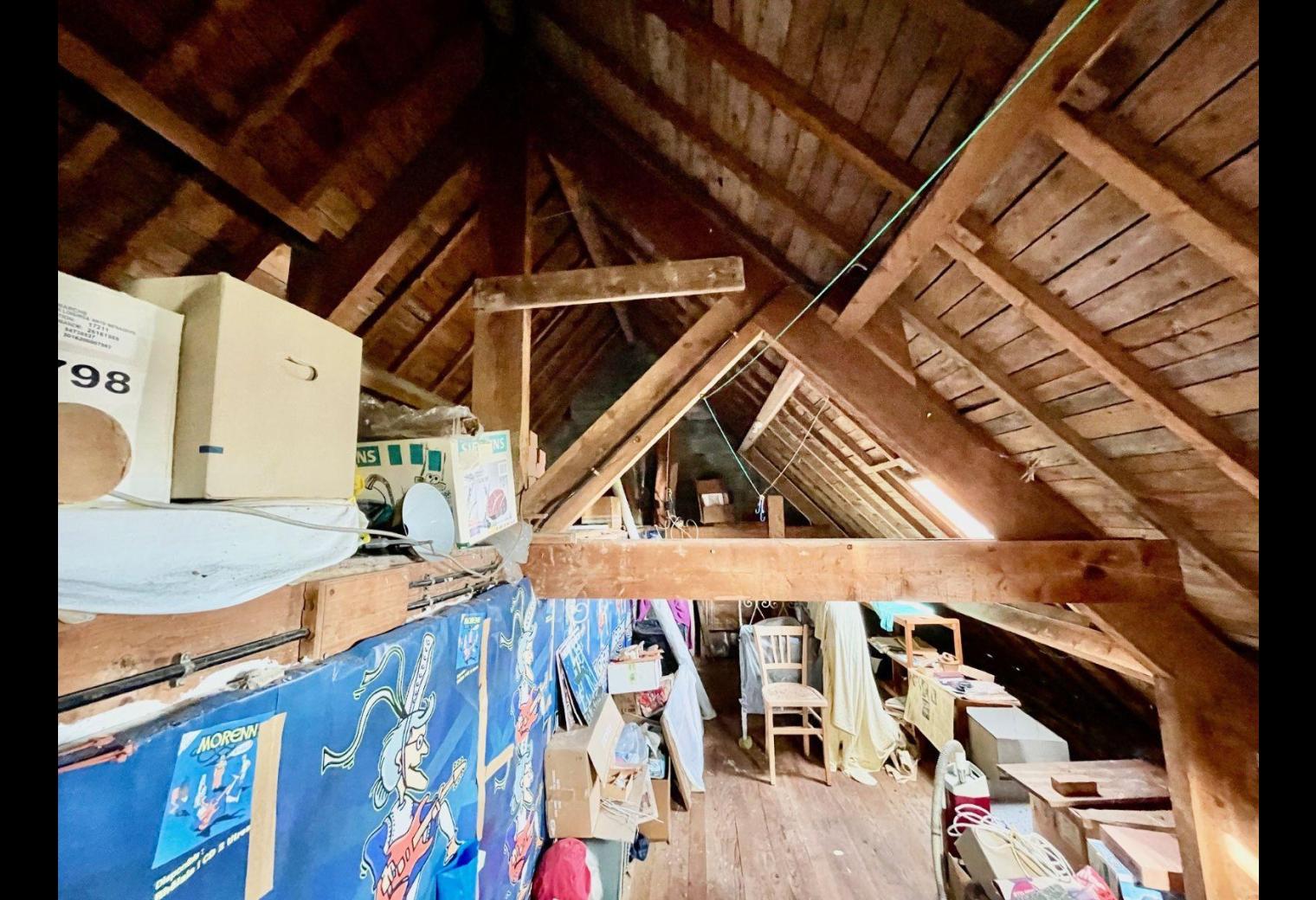 e1e36d90-6c68-4505-acd9-086ff5481a78.jpg