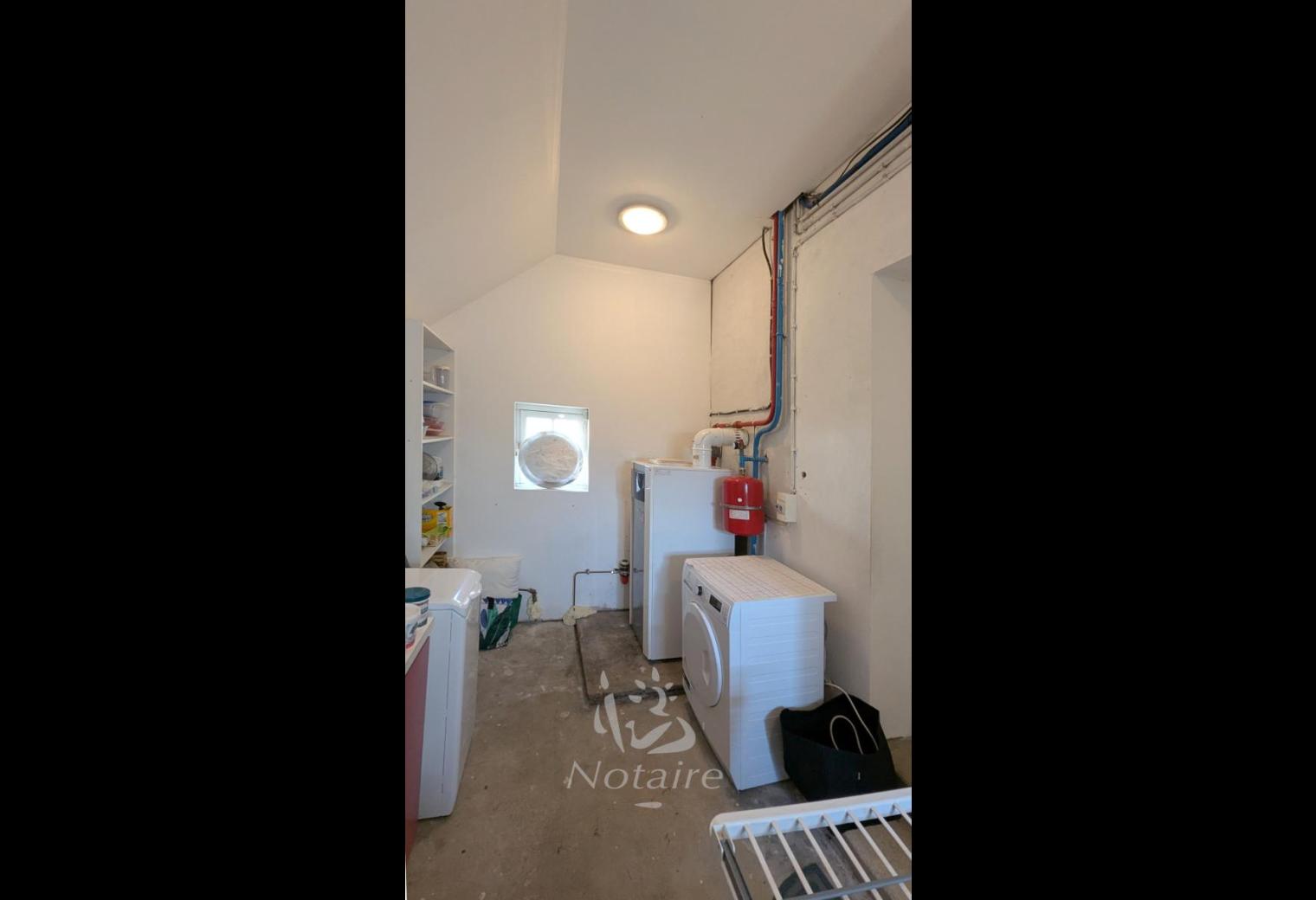 5e3ae94f-890c-4022-bade-039c8d5482fb.jpg