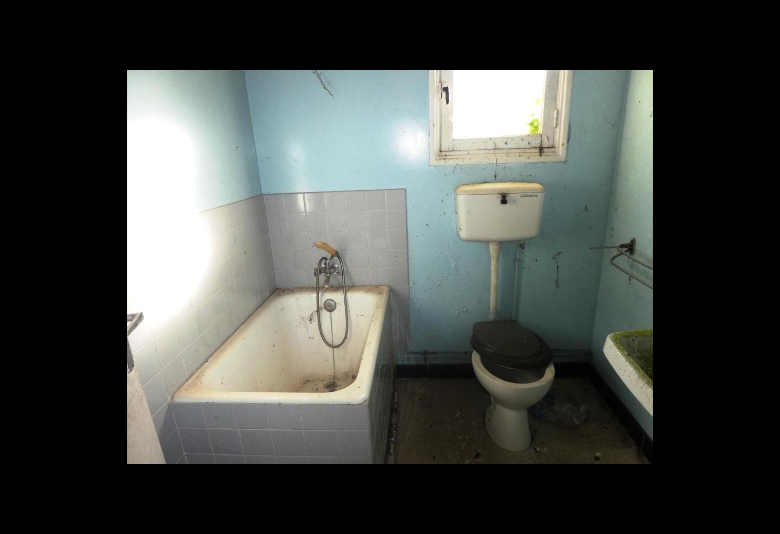 b43dd325-2838-43f1-917e-69257bfbe0a7.jpg