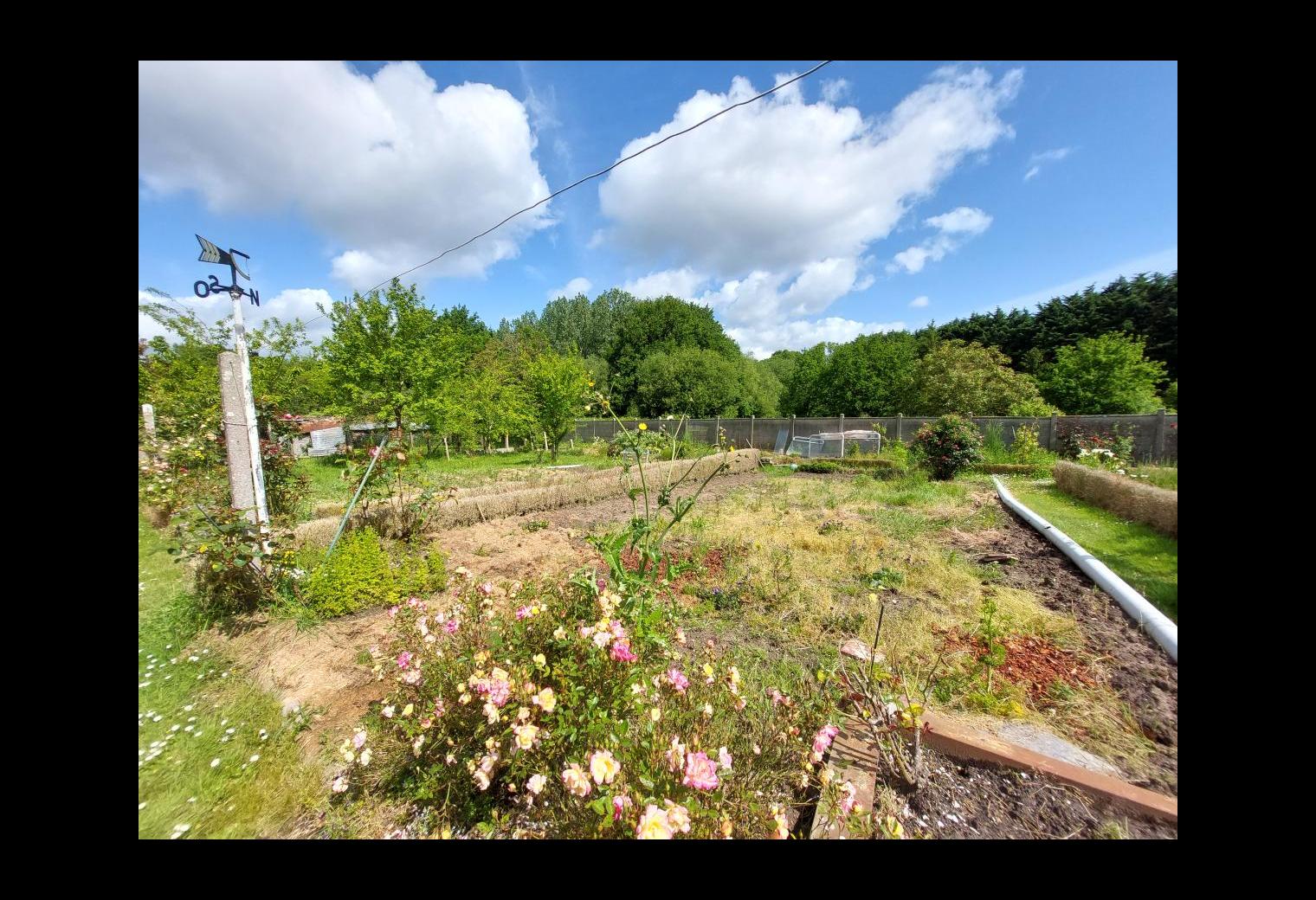 fbddf830-bc29-4646-bced-6bd7f2a60397.jpg