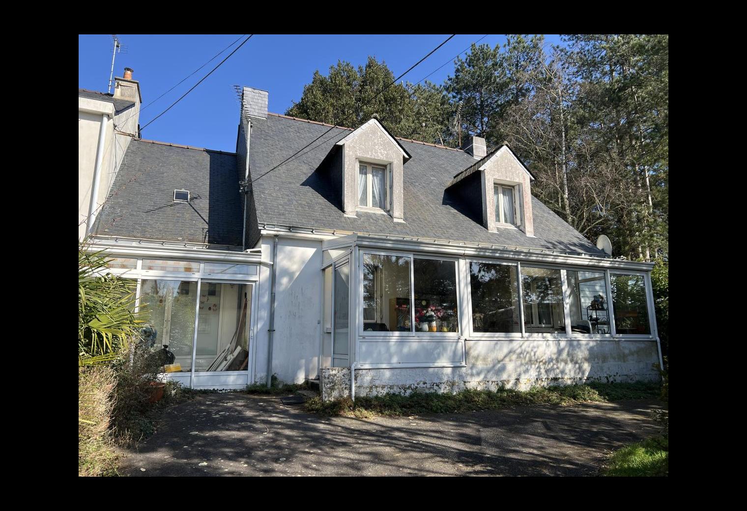 3ba02766-3e52-4969-bc48-269fb61e4707.jpg
