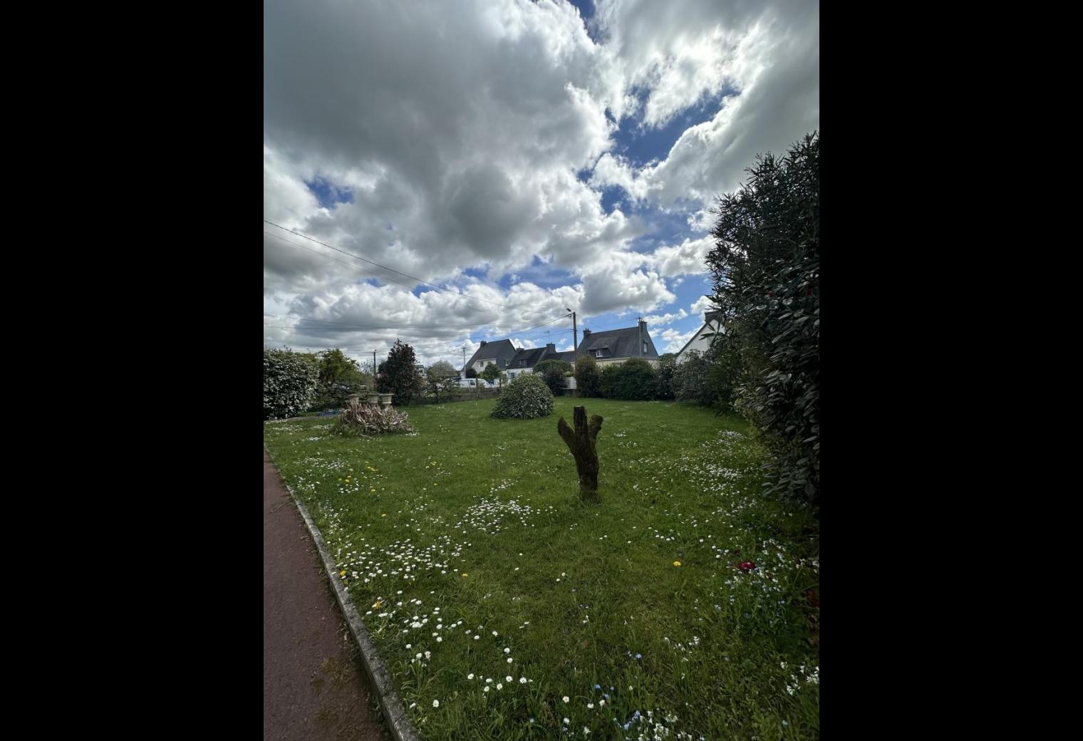 92197e08-19ab-4b17-9ed7-8f078e3bdc05.jpg