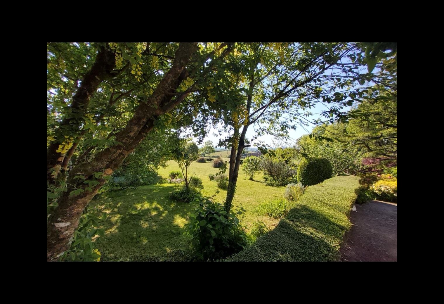237611da-dd88-4bfa-9e8a-10c861c26aa9.jpg