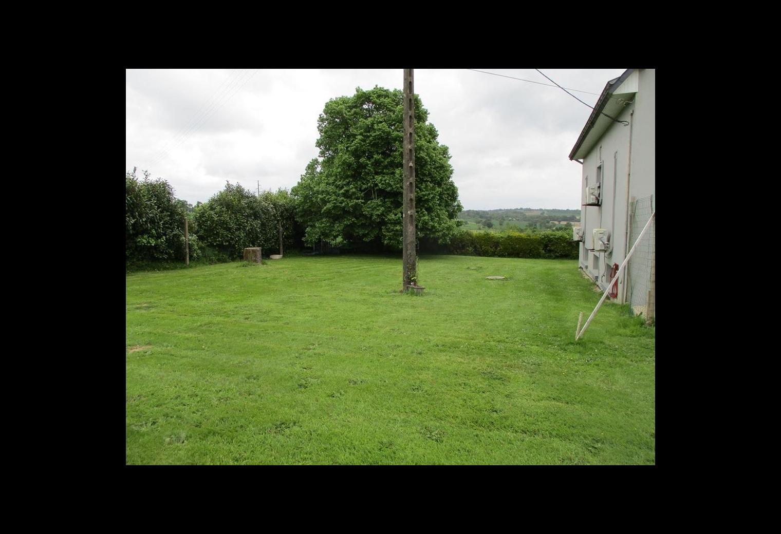 8113172d-de72-4d8d-9227-43226e6a3059.jpg
