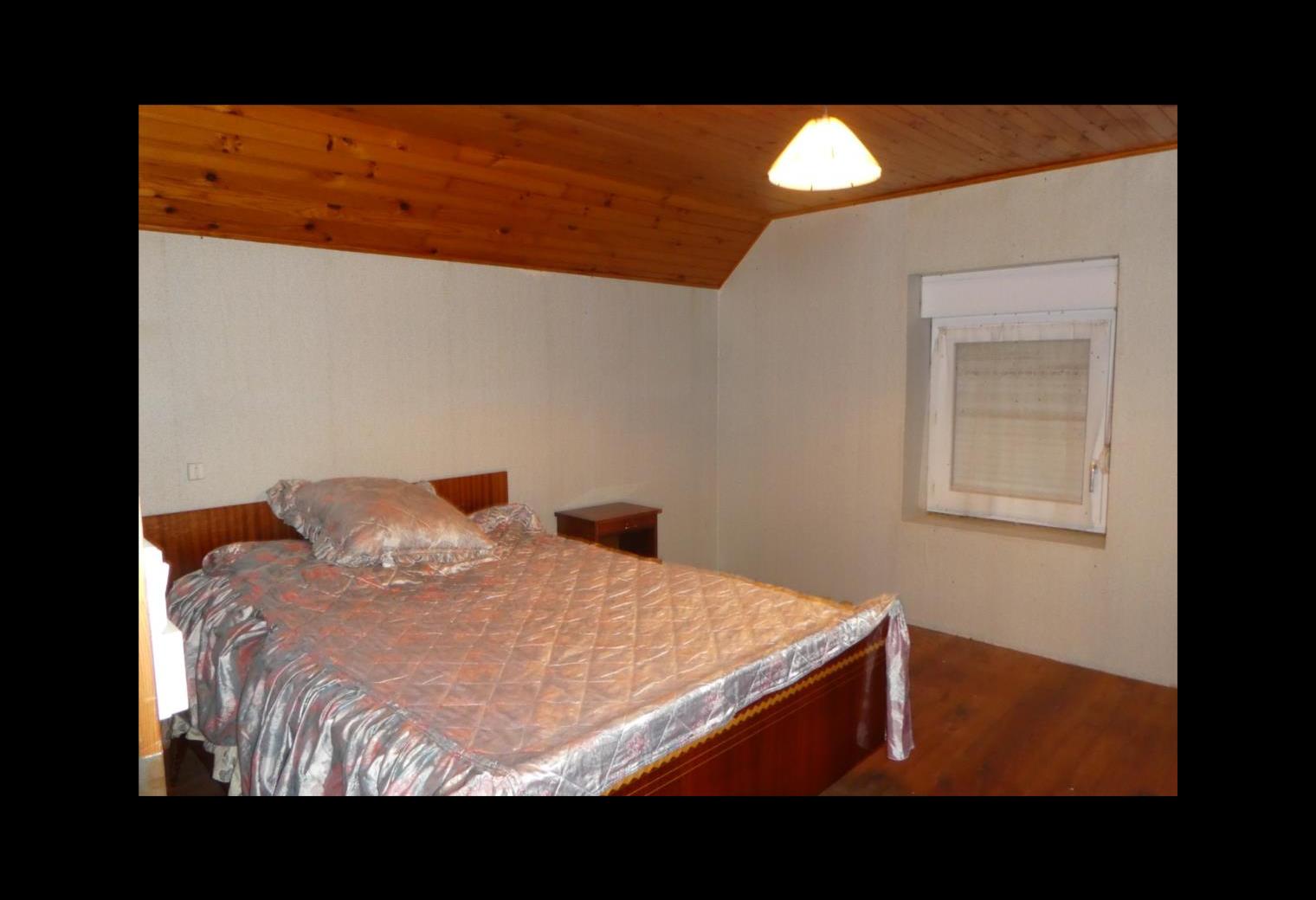 288d23cf-0617-4e66-9371-72e2bed12d21.jpg