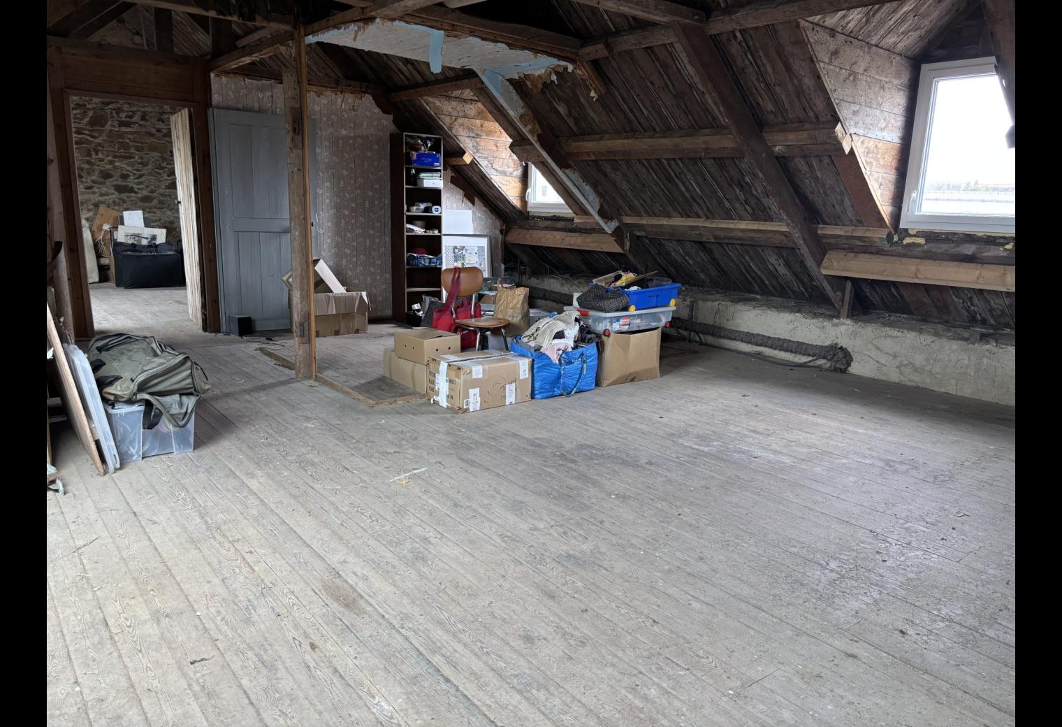 6d220354-c902-4143-8a6c-5e96a8844851.jpg