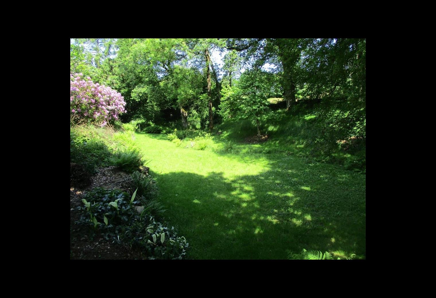 92f23e7b-0cd0-4eb0-bb51-3c9b07b00deb.jpg