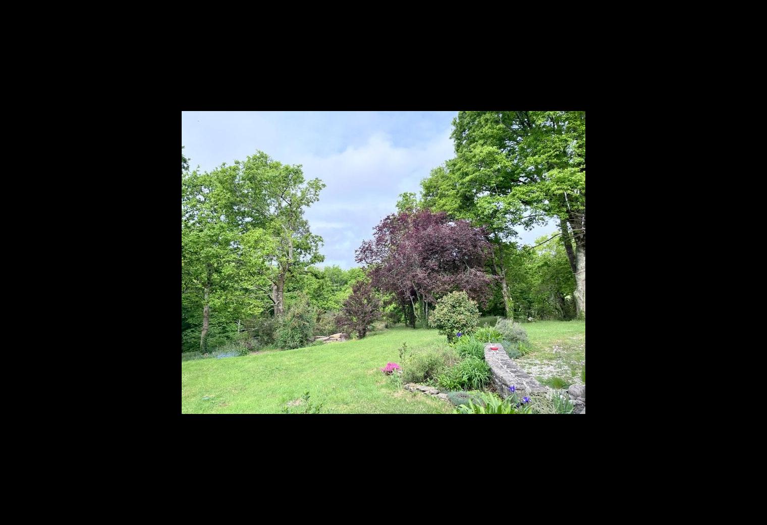 3d038884-1320-4407-83e5-5ac04f863ac7.jpg