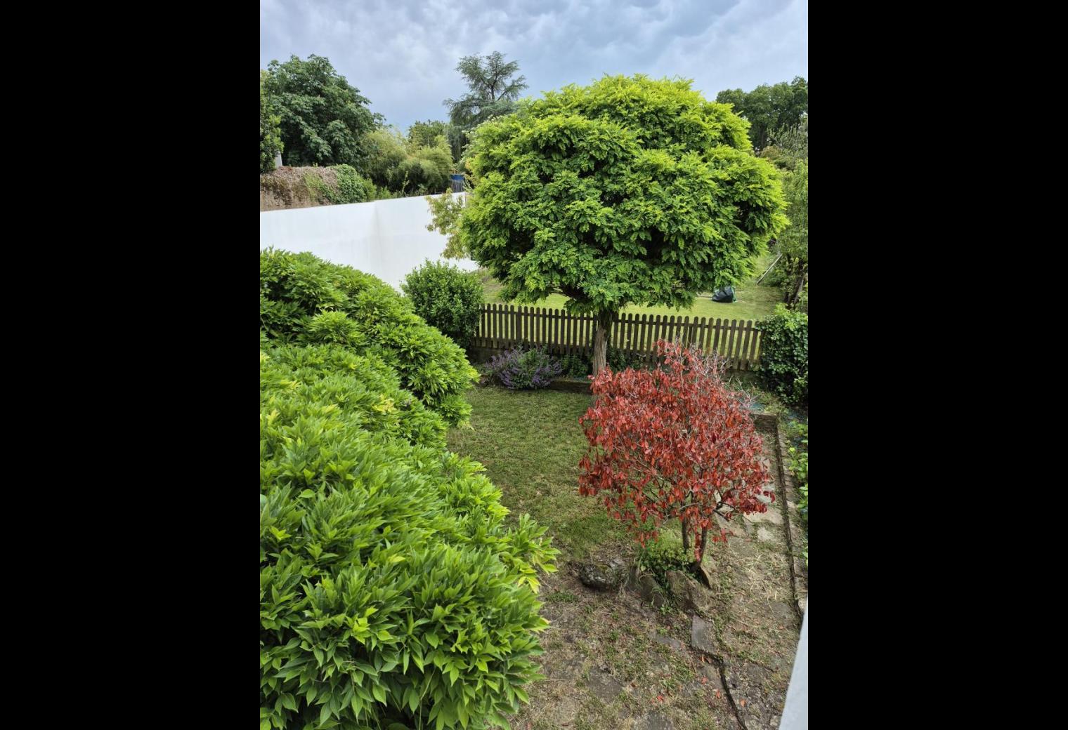 dd65195f-ac21-41ca-ba2b-bfdd391e9ff9.jpg