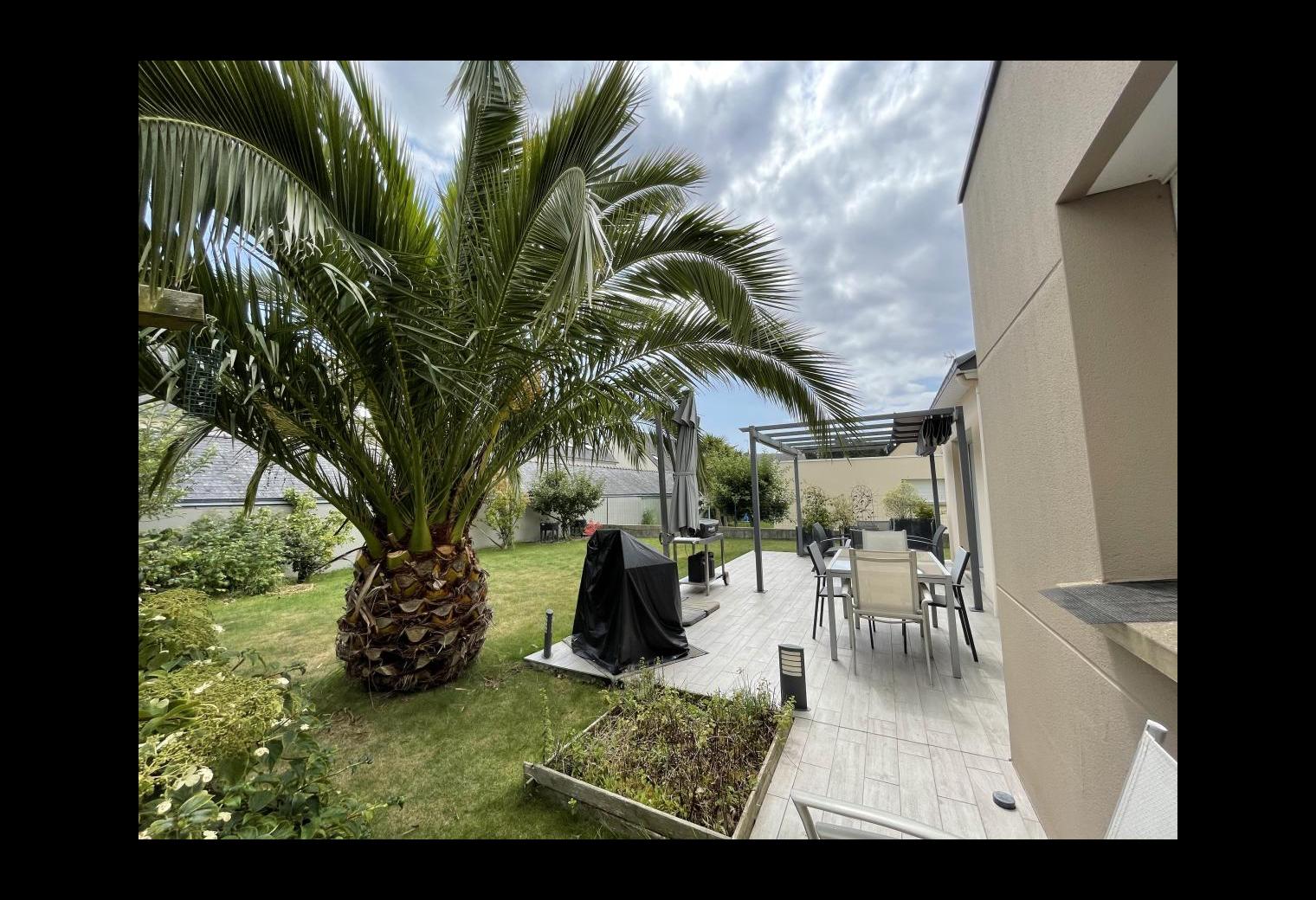 3817cee7-ca4d-4bd4-bab4-493f3898b54c.jpg