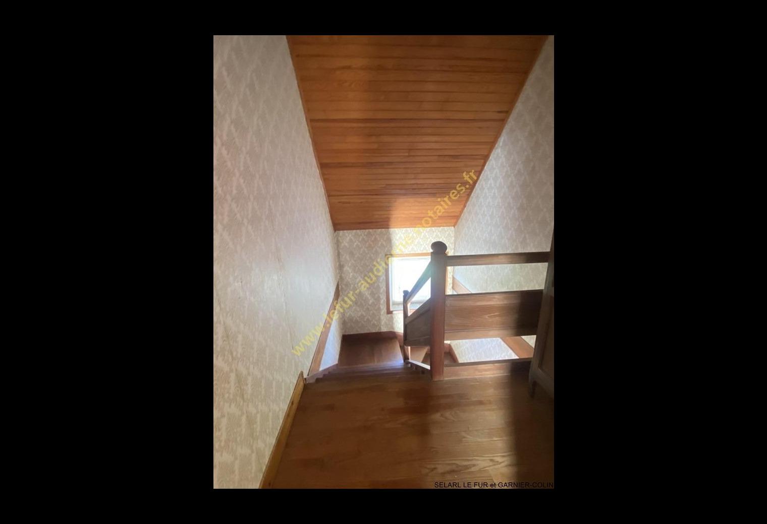 aa120cf8-3d23-4790-8c30-c0866ae3e866.jpg