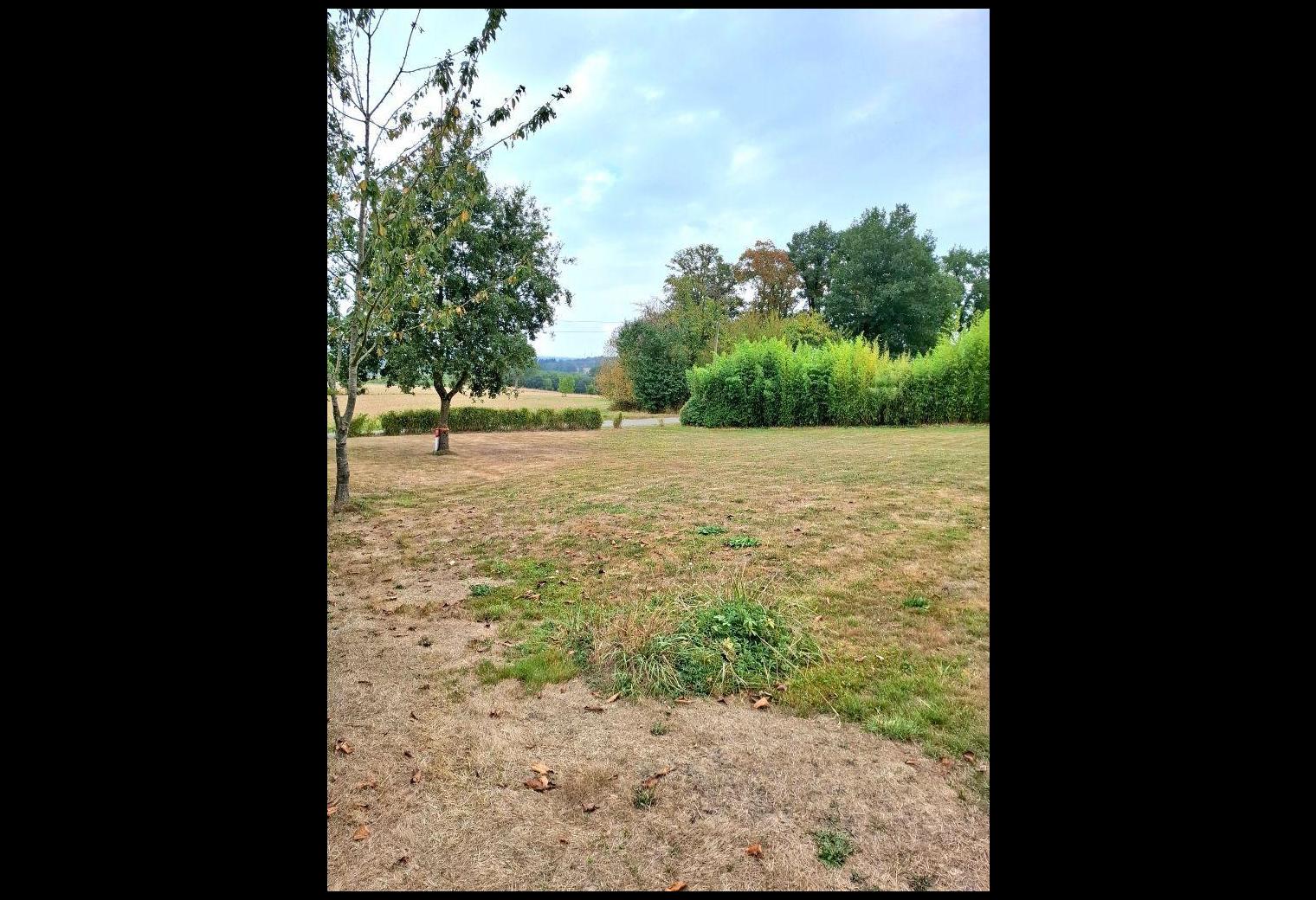 5ac18130-e5ca-484d-824c-b1c41126c358.jpg