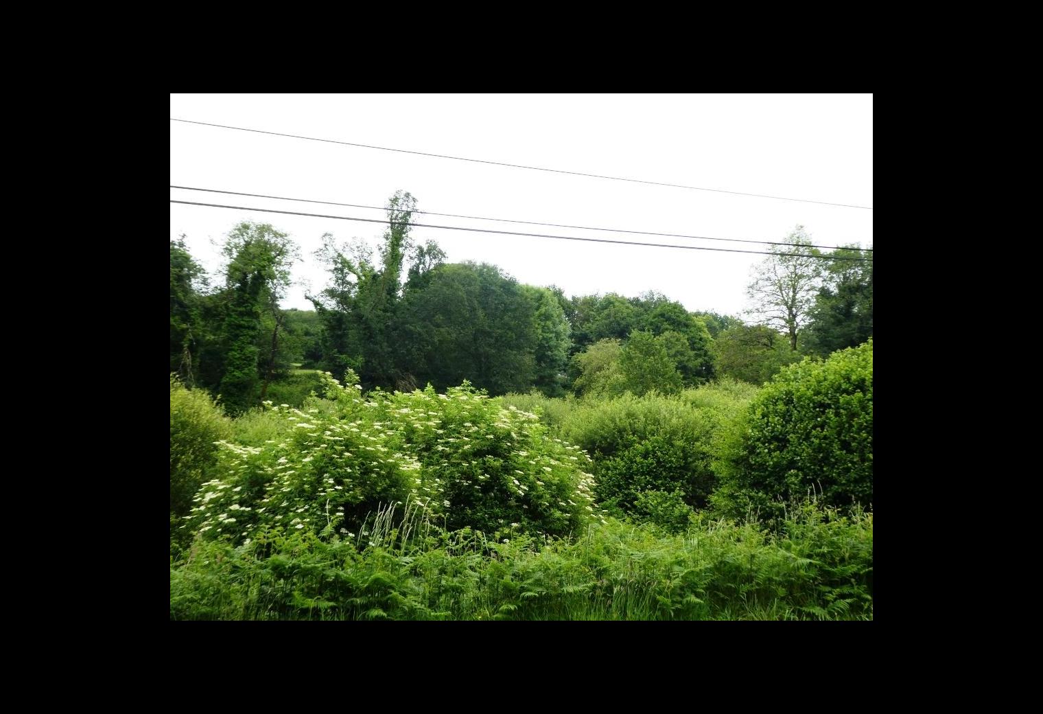 b5354741-5acc-48c0-9c99-a88c46264c7f.jpg